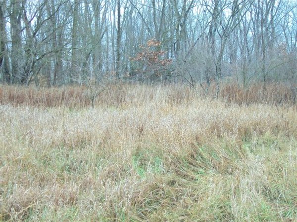 62.7 Acres in 2 Tracts - Recreation and Potential Building Sites
